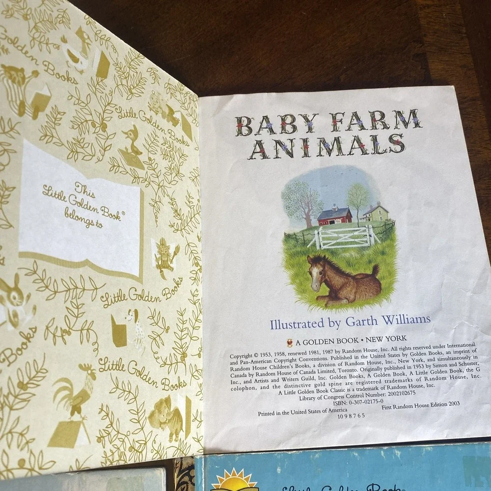 Little Golden Books Lot Of 12 Books: Lion King, The Sleepy Book, Jungle Book +++